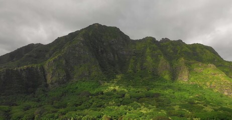 Fototapeta na wymiar Hawaii Nice Nature Wallpaper in High Definition 