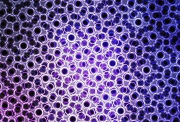 Light Purple vector background with bubbles.