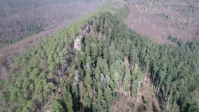 Ch&acirc;teau du Petit Fleckenstein en drone