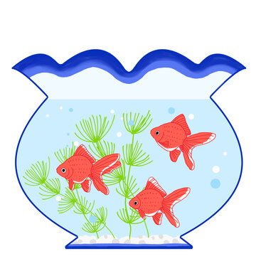 1 064 Best 金魚鉢 Images Stock Photos Vectors Adobe Stock