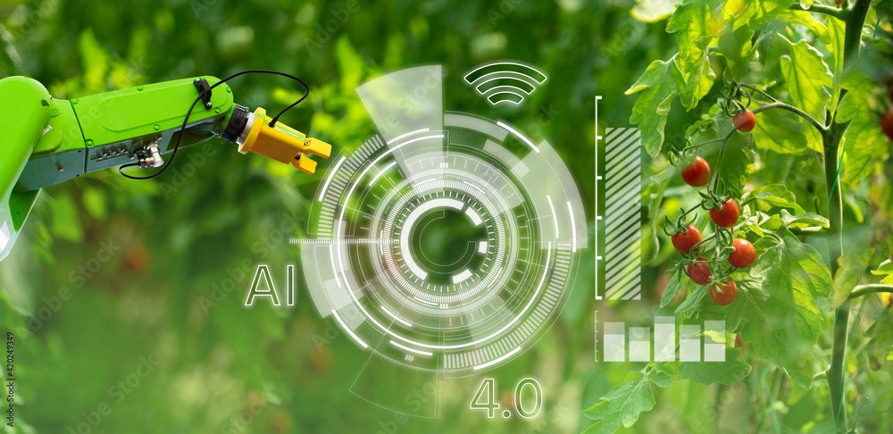 Aufkleber robot is working in greenhouse with tomatoes. smart farming and digital agriculture 4.0