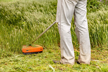 A man in work clothes mows tall grass with a trimmer in the garden