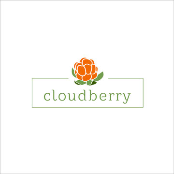cloudberry  logo