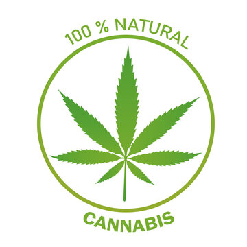 Cannabis or hemp leaf logo vector design, 100% natural source of CBD (Cannabidiol) for medical and herbal drug