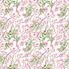 A pattern of spring pink flowers. Watercolour. The images are hand-drawn and isolated on a white background.