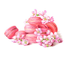 Macarons cakes with flowers. Markers. The images are hand-drawn and isolated on a white background.