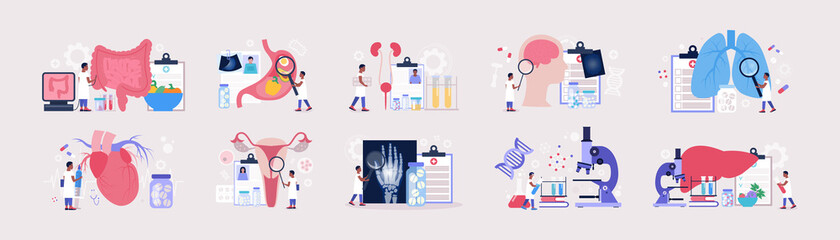 Flat vector set of sections of medicine