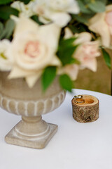 Fototapeta na wymiar Eco-wedding. There are wedding rings on a small tree stump