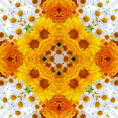 Flower background with yellow Heliopsis helianthoides flowers and white camomiles.  Effect of a kaleidoscope.