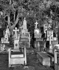 Cemetery on Stromboli Island 