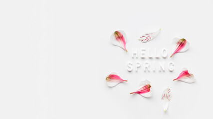 Top view on words HELLO SPRING with pink flower petals on white background. Season's greetings.
