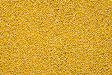 Closeup millet seed background, texture.