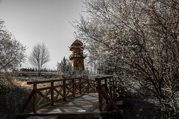spring in masuria and in the background the lookout tower in stare juchy, view, sky, nature
