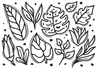 leaf botanical doodle element vector