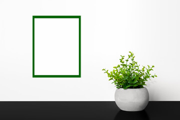 Green plant in a pot. Empty frame on the wall.