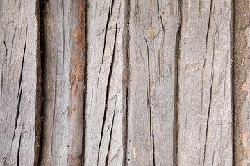 Wooden plank background. Cracked old tree