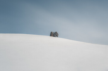 Trees on the mountain in winter minimalism