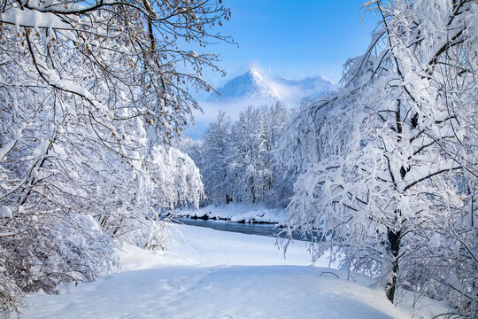 Allg&auml;u - Gr&uuml;nten - Iller - Winter - B&auml;ume - Frost - Eis - Schnee