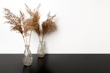 Dried flowers in a vase. Near a light wall.