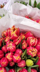 bouquet of tulips