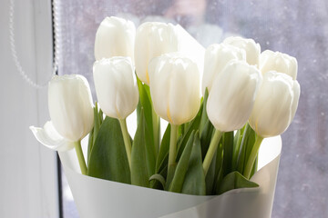 a bunch of white natural tulips