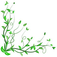 Vintage floral ornament, Hand drawn decorative element, vector illustration of floral element isolated on white background, design for page decoration cards, wedding, banner, frames