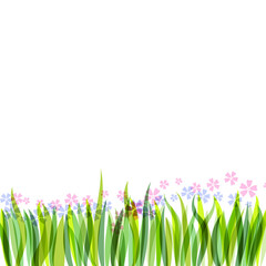 Green grass border isolated on white background. Vector illustration for spring or summer design. Decoration for Easter greeting card or banner