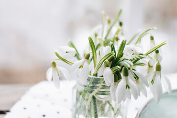 Easter table setting with snowdrops. Easter table decorations. Table setting for the holiday. Delicate decor.