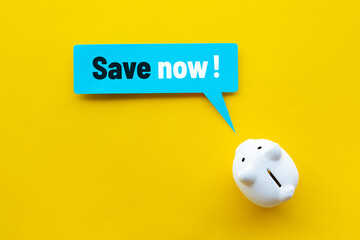 Save now or cost reduction concepts with text and piggy bank