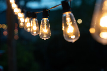 Night time string of edison lights