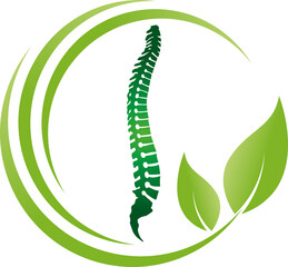 Wirbelsäule und Blätter, Rücken, Orthopädie und Massage Logo, Icon