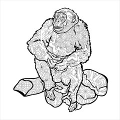 Chimpanzee sitting on rock, drawing with pattern for coloring.