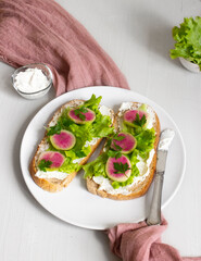 Tasty and delicious toast with lettuce, radish and cream cheese. Ketogenic diet. Healthy lifestyle.