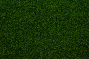 Fototapeta premium Green lawn background. Green grass.
