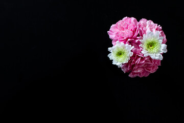 Bunch of flowers on black background. Space for advertising text and floral decoration, black background and top view. 