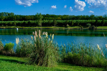 summer beach lake empty space 
