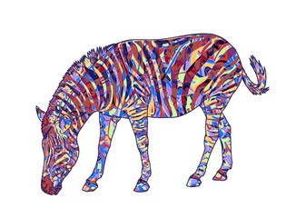 Zebra with colorful pattern.