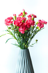 Bouquet of pink carnation flowers. Clove flowers in the grey vase. White background.