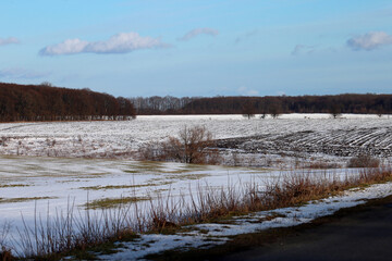 Fototapeta premium winter landscape with field and snow