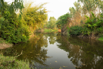 Fototapeta na wymiar Natural canal