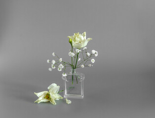 Small bouquet with white flowers in a glass bottle. Minimalism.