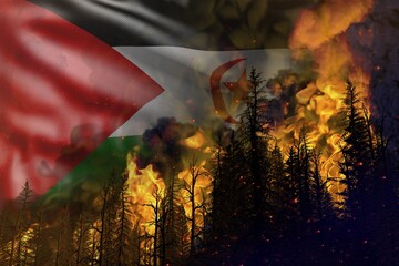 Forest fire natural disaster concept - heavy fire in the woods on Western Sahara flag background - 3D illustration of nature