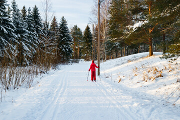 Small child in the ski track at winter forest in Finland.