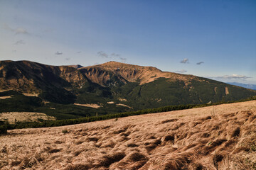landscape of the mountains