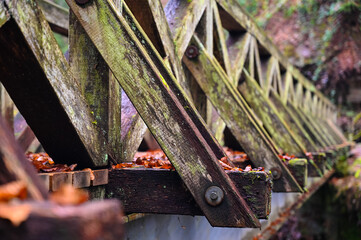 Close-up of an old wooden bridge, partially overgrown with moss and lichen.