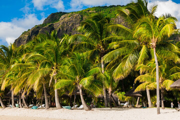 Fototapeta na wymiar Luxury beach in Mauritius. Sandy beach, palms and blue sky