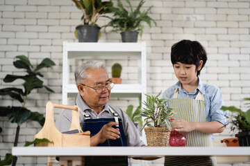 Grandfather gardening and teaching grandson take care  plant indoors