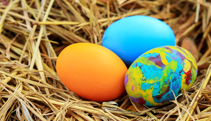 Fototapeta na wymiar Colorful eggs on grass or straw for Easter