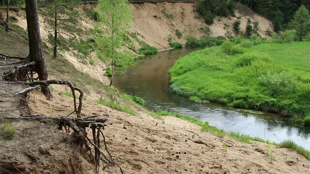 The forest river, current of water in the forest river, Isloch, Belarus