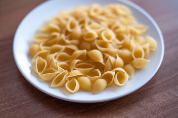 Dried conchiglie pasta on a white plate